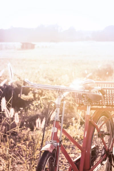 Bicicleta vermelha estilo vintage — Fotografia de Stock