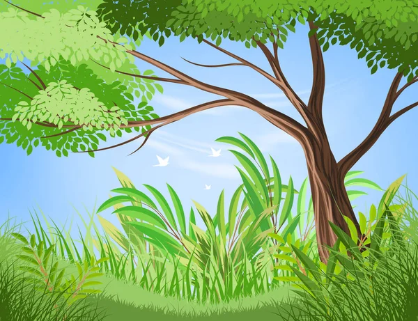 木と緑豊かな紅葉シーン ベクトル — ストックベクタ