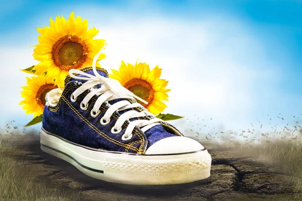 Blue shoe with sun flowers scene — Stock Photo, Image