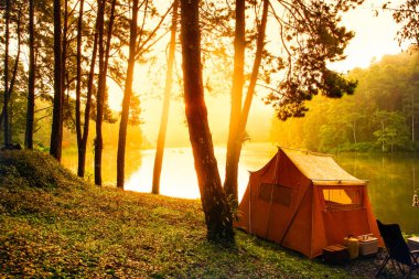 Çam ormanı sahnesinde kamp sitesi