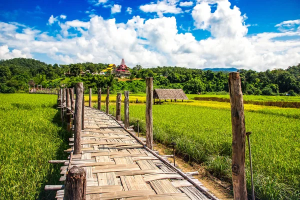 Zutongpae brug over rijst veld, Mae hong son natuur achtergrond — Stockfoto