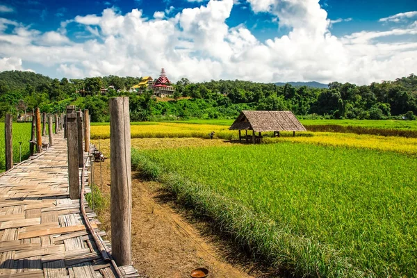 Zutongpae Bridge met rijst veld scène natuur achtergrond — Stockfoto