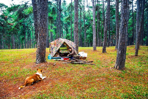 Chica joven acampando en bosque de pinos naturaleza paisaje fondo — Foto de Stock