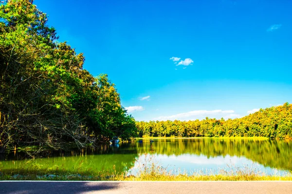 Estrada frente do lago cena natureza fundo — Fotografia de Stock