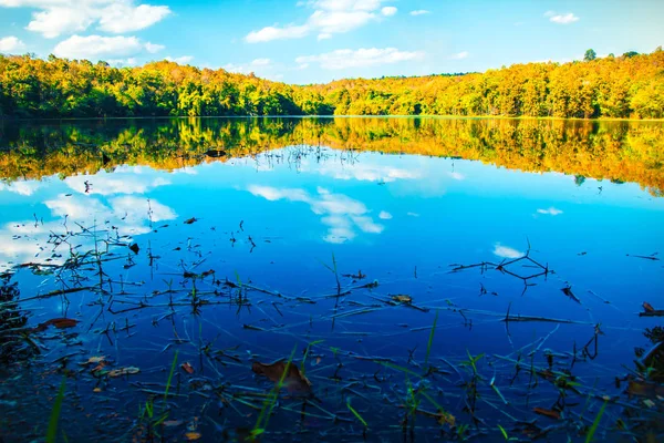 Farbenfrohe Natur auf dem Hintergrund des Sees — Stockfoto