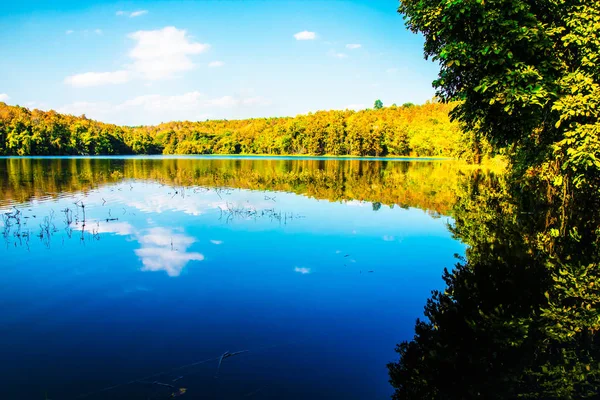 Beautiful lake tropical forest nature background — Stock Photo, Image