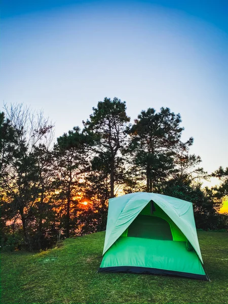 丘の上のテントや松の木のシーン雲の森壁紙の背景 — ストック写真