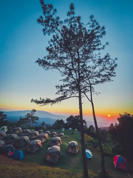 Schöne Kiefern Morgen Und Touristenzelt Auf Hügel Natur Tapeten Hintergründe — Stockfoto
