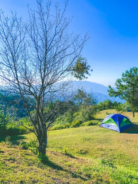 Вид Облачного Леса Туристической Палатки Фоне Холмистого Природного Ландшафта — стоковое фото