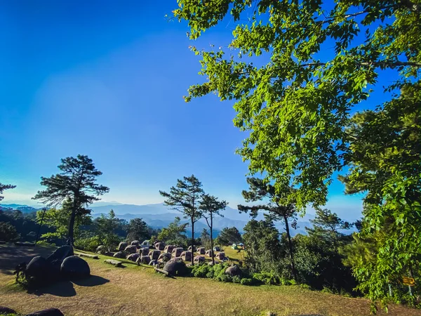 Prachtig Uitzicht Pijnbomen Toeristische Tent Heuvel Natuur Landschap Achtergronden — Stockfoto