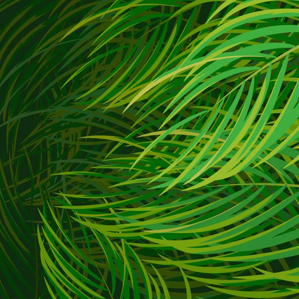 Palm Blad Bos Scene Vector Natuur Behang Achtergrond — Stockvector