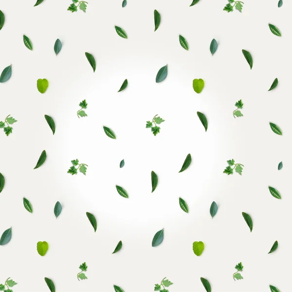 Зеленый узор из зелени, петрушки и базилика на белой скатерти — стоковое фото