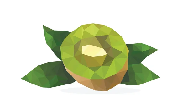 Elemento vectorial del kiwi triangular . — Vector de stock