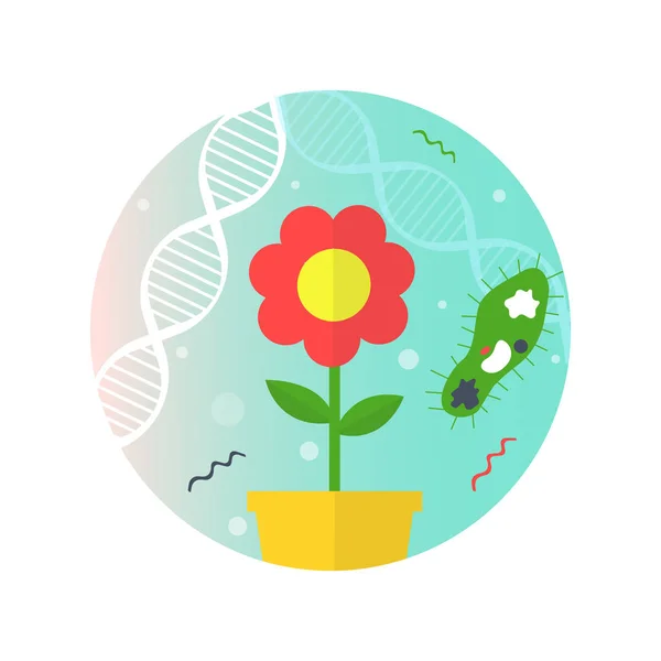 Infographic met een bloem en een eencellige organisme op de achtergrond van dna vectorillustratie. — Stockvector