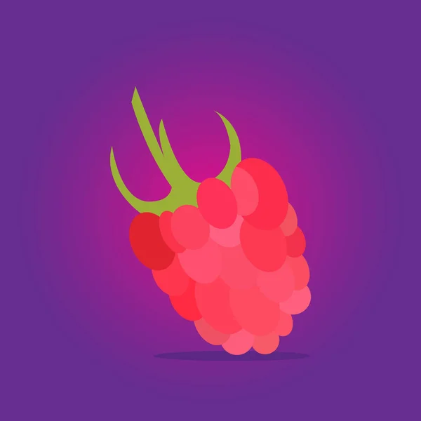 Ripe juicy raspberry pada latar belakang ungu. Ilustrasi Vektor . - Stok Vektor