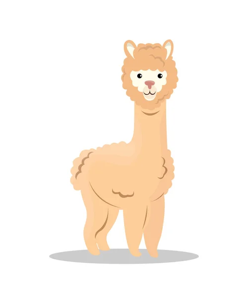 Vector niños alpaca animal de dibujos animados. Lindo lama ilustración . — Archivo Imágenes Vectoriales