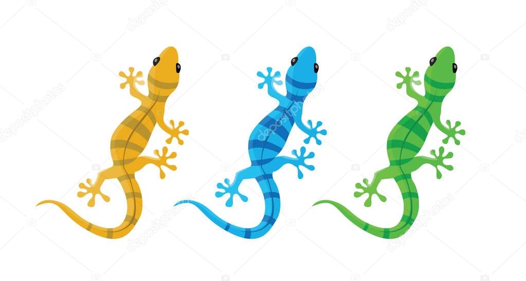 Vector illustration of three colors cartoon iguana animal. Cute orange, green and blue character.