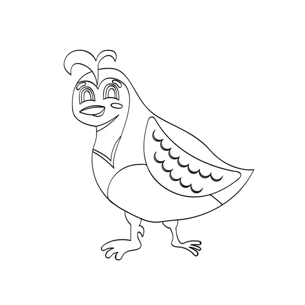 Illustrazione vettoriale di uccello di quaglia del fumetto per il disegno dei bambini. Bambini educativi contorno pittura gioco . — Vettoriale Stock