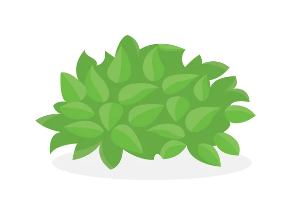 Ζουμερό πράσινο θάμνο που απομονώνονται σε λευκό φόντο. Εικονογράφηση διάνυσμα. — Διανυσματικό Αρχείο
