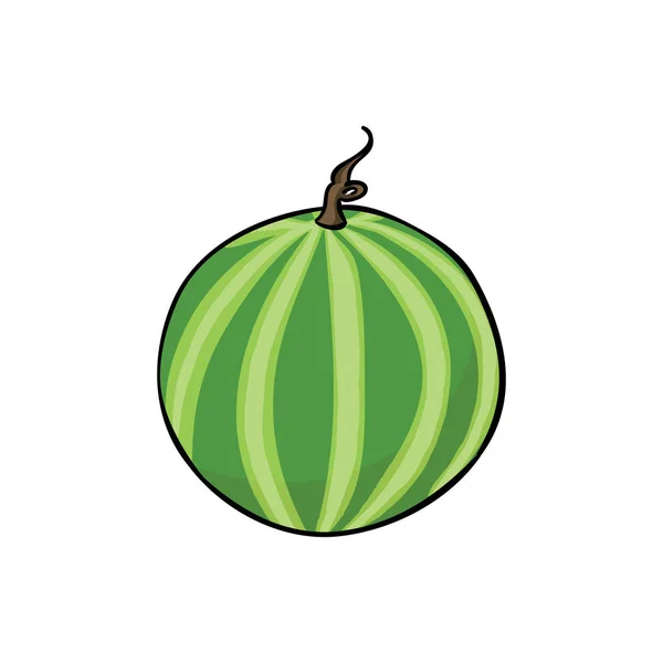 Saftiga vattenmelon isolerad på vit bakgrund. Vektorillustration. — Stock vektor