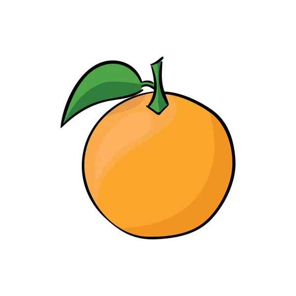 白色背景的多汁橙。矢量插图. — 图库矢量图片