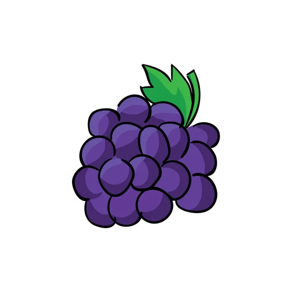 Свіжий виноград ізольований на білому тлі. Векторні ілюстрації . — стоковий вектор