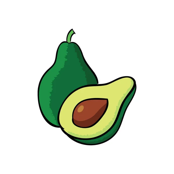 Aguacate maduro sobre fondo blanco. Ilustración vectorial . — Vector de stock