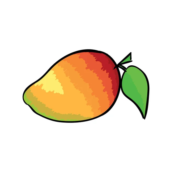 Érett mangó fehér háttér. Vektoros illusztráció. — Stock Vector