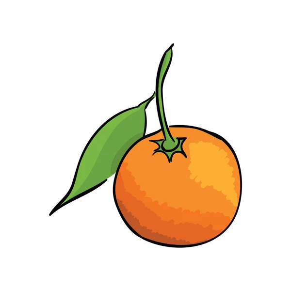 Bright ripe orange tangerine on a branch with leaf. Vector illustration. — Stock Vector