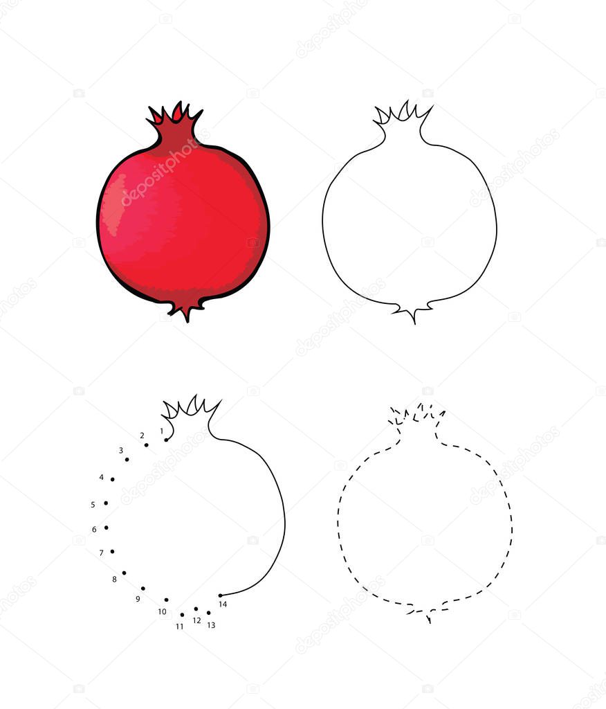 Vector set of pomegranate kids drawing. Child educational game page.