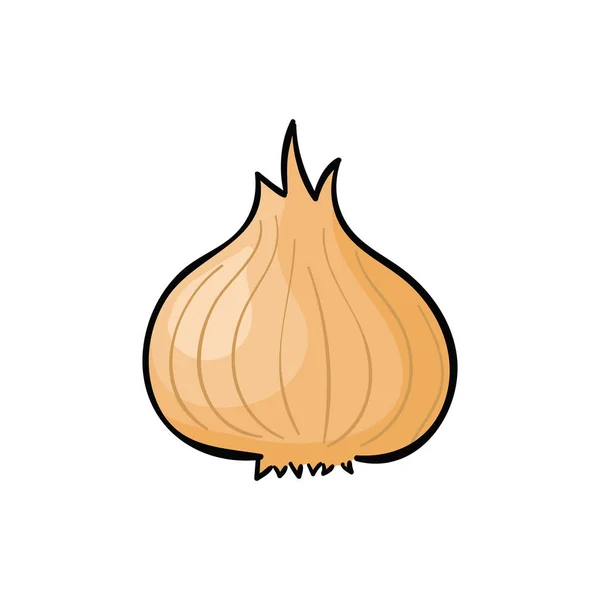 Cebolla marrón sobre fondo blanco. Ilustración vectorial de verduras . — Vector de stock