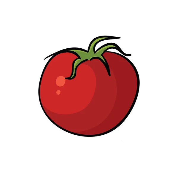 Tomate vermelho intacto isolado sobre fundo branco. Ilustração vetorial de vegetais . —  Vetores de Stock