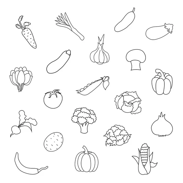 Ensemble vectoriel de légumes bio frais pour le dessin des enfants. Enfant légumes éducatif aperçu page de jeu . — Image vectorielle