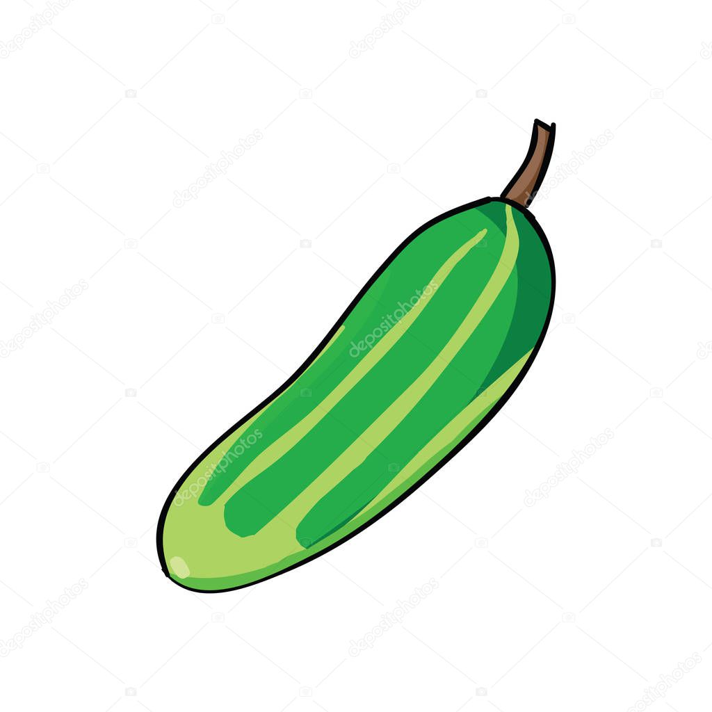 Green juicy cucumber isolated on white background. Vegetables vector illustration.