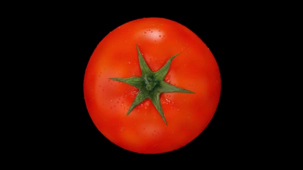 逼真的顶部视图西红柿旋转无缝循环 Alpha 通道顺时针旋转 Luma 以框架为中心的蔬菜 在黑色背景上旋转360度 — 图库视频影像
