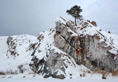 Snow-clad kaya üzerinde tek çam.