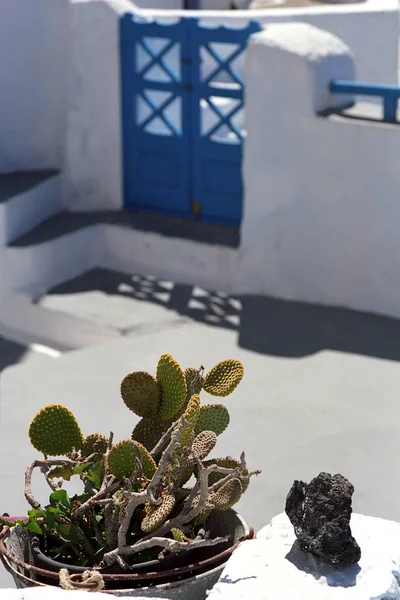 A flower arrangement with a cactus and a volcanic stone in the courtyard of traditional Greek house. — Stock Photo, Image