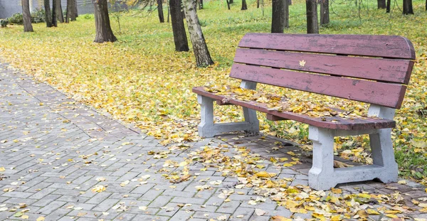 A bench in the city park in the afternoon, — Stock Photo, Image