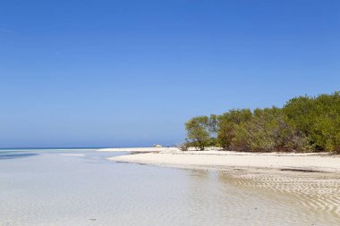  Banka güzel bir görünüm