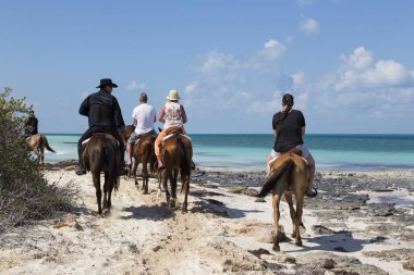  Turist grup sahilde ata biner gibi atlar devam 