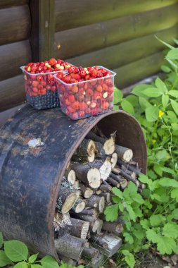  Bir huş çerçevede bir sepet içinde taze çilek. 