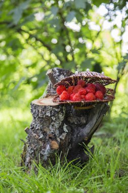  Kenevir bir sepet içinde taze çilek.