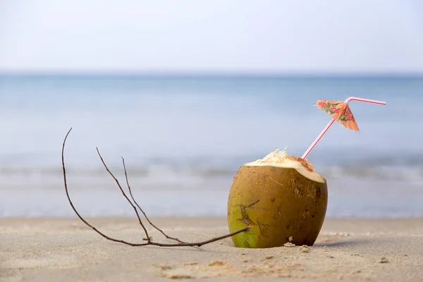 Cocktail in coconut on the beach against the sea .Horizontally.
