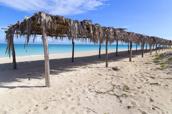 Deserted Beautiful Beach Season Canopies Palm Leaves Horizontally — стоковое фото