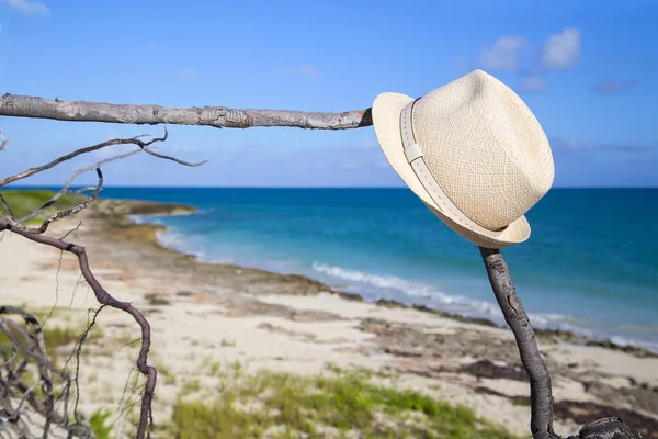 一个男人的草帽挂在美丽的海面上的一根树枝上 — 图库照片