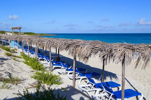 Paesaggio Tropicale Con Palme Sotto Cielo Blu Orizzontalmente — Foto Stock