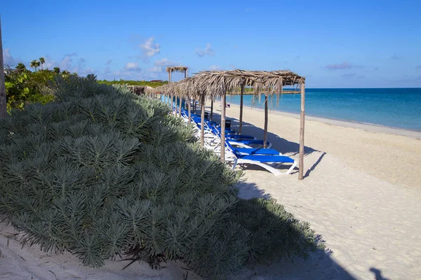 Paesaggio Tropicale Con Palme Sotto Cielo Blu Orizzontalmente — Foto Stock