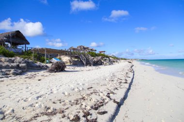  Mavi gökyüzünün altında palmiye ağaçları olan tropik bir manzara. Yatay olarak..