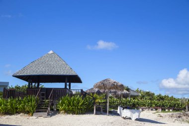  Mavi gökyüzünün altında palmiye ağaçları olan tropik bir manzara. Yatay olarak..