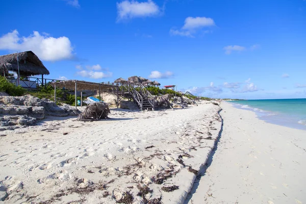 Paesaggio Tropicale Con Palme Sotto Cielo Blu Orizzontalmente — Foto Stock